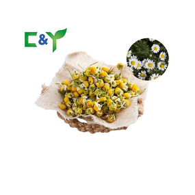Chamomile Tea Manufacturer - Chinese Chamomile Flowers & Blooms