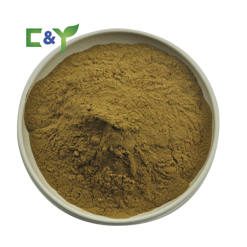 Lion's Mane Powder Manufacturer - Organic Extract & Capsules