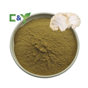 Lion's Mane Powder Manufacturer - Organic Extract & Capsules