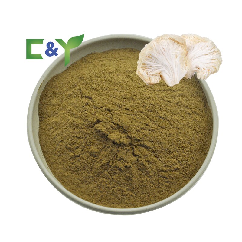 Lion's Mane Powder Manufacturer - Organic Extract & Capsules