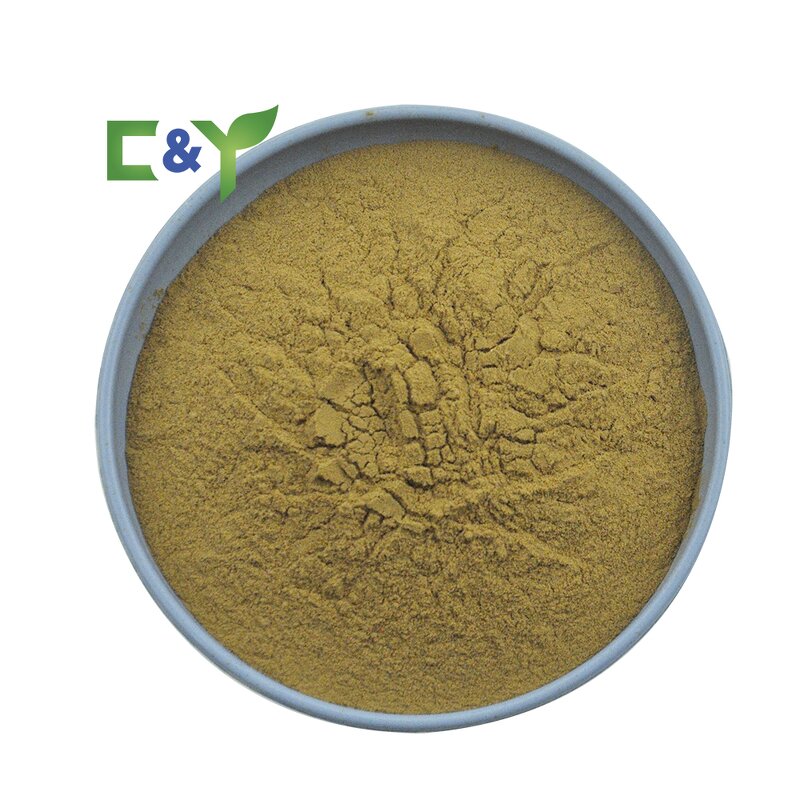 Lions Mane Mushroom Extract Manufacturer - Raw Material Powder