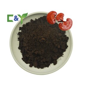 Ganoderma Lucidum Spore Powder Manufacturer - Shell-Broken, 40% Polysaccharides Extract