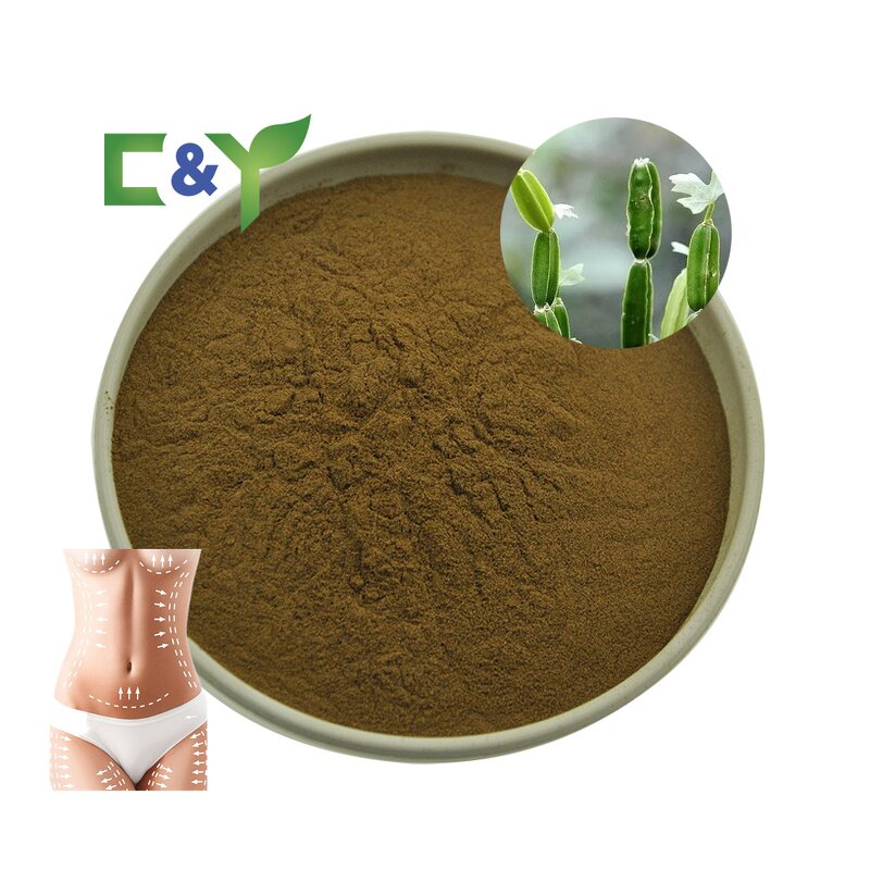 Cissus Quadrangularis Powder Manufacturer - Pure Leaf Extract Powder
