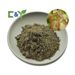 Epimedium Extract Manufacturer - Pure Horny Goat Weed with 50% Icariin