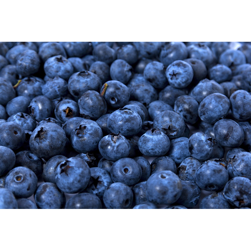 Bilberry Leaf Powder Manufacturer - Top Grade Raspberry Fruit Berry Juice Powder