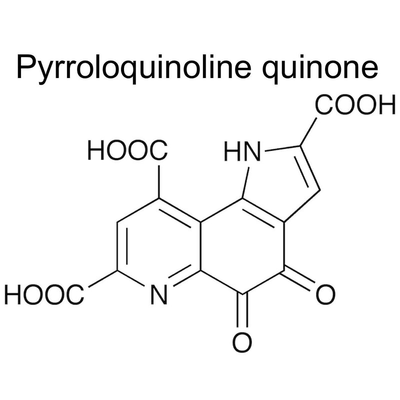 PQQ Pyrroloquinoline Quinone Powder Manufacturer - CAS 122628-50-6 & Free Sample