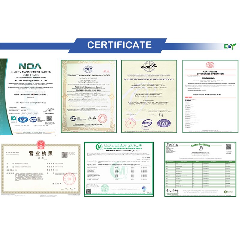 Quillaia Bark Extract Manufacturer - Quillaia Saponaria Powder