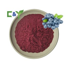 Bilberry Extract Powder Manufacturer - Bulk Bilberry Black Powder