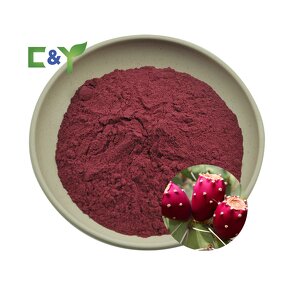 Prickly Pear Extract Powder Manufacturer - Prickly Pear Fruit & Cactus Powder