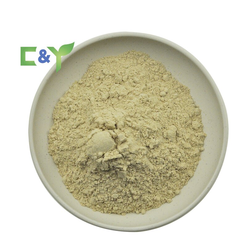 Sea Cucumber Peptide Powder Manufacturer - 5:1 Extract Polypeptide Powder