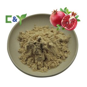 Pomegranate Extract Manufacturer - Fruit Powder & Free Sample
