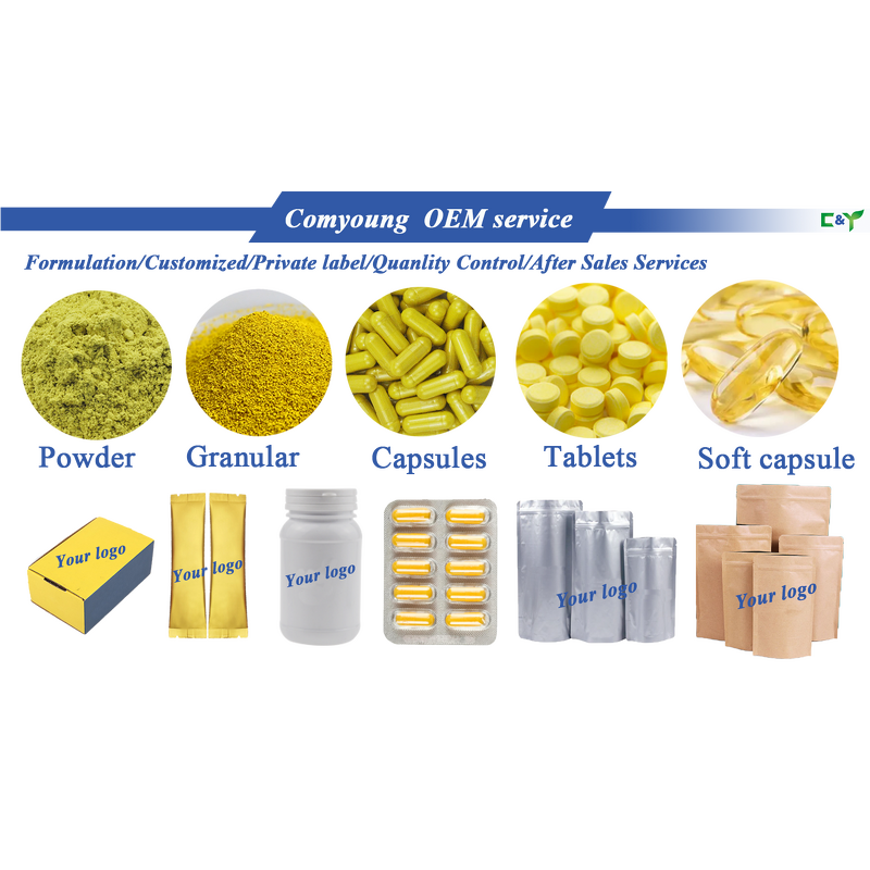 Bilberry Extract Powder Manufacturer - 25% Anthocyanidin European Standard