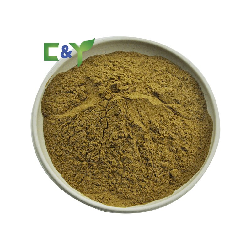 Horny Goat Weed Extract Manufacturer - Natural Epimedium Powder with Icarin