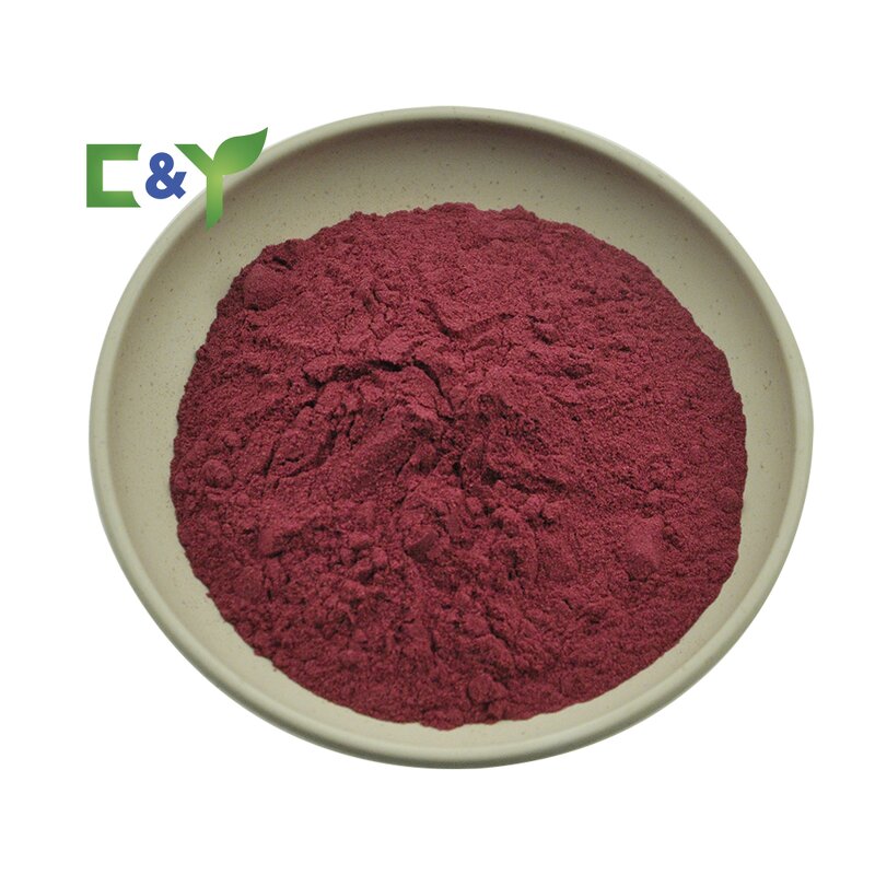 Prickly Pear Extract Powder Manufacturer - Prickly Pear Fruit & Cactus Powder