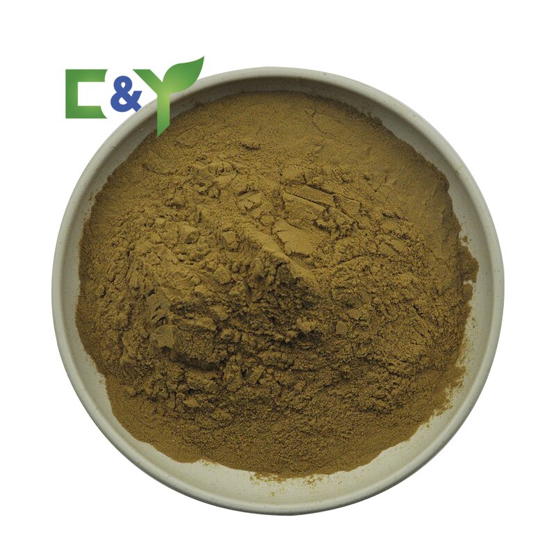 Maitake Mushroom Extract Manufacturer - 50% Polysaccharide Amino Acid Capsules