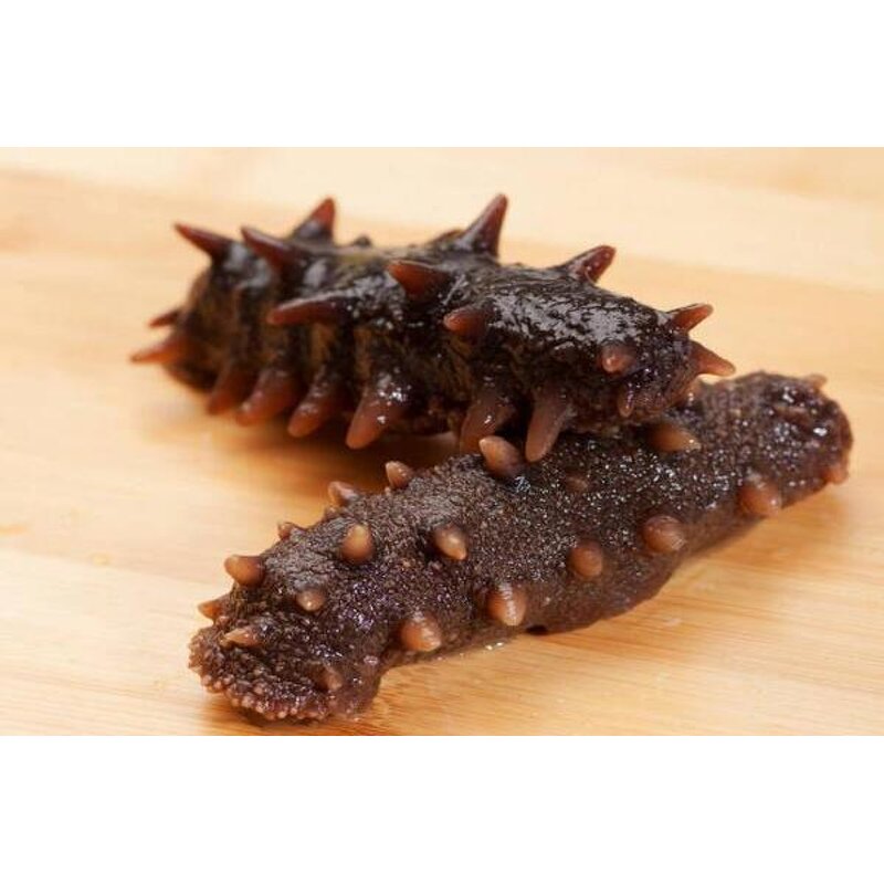 Sea Cucumber Peptide Powder Manufacturer - 5:1 Extract Polypeptide Powder