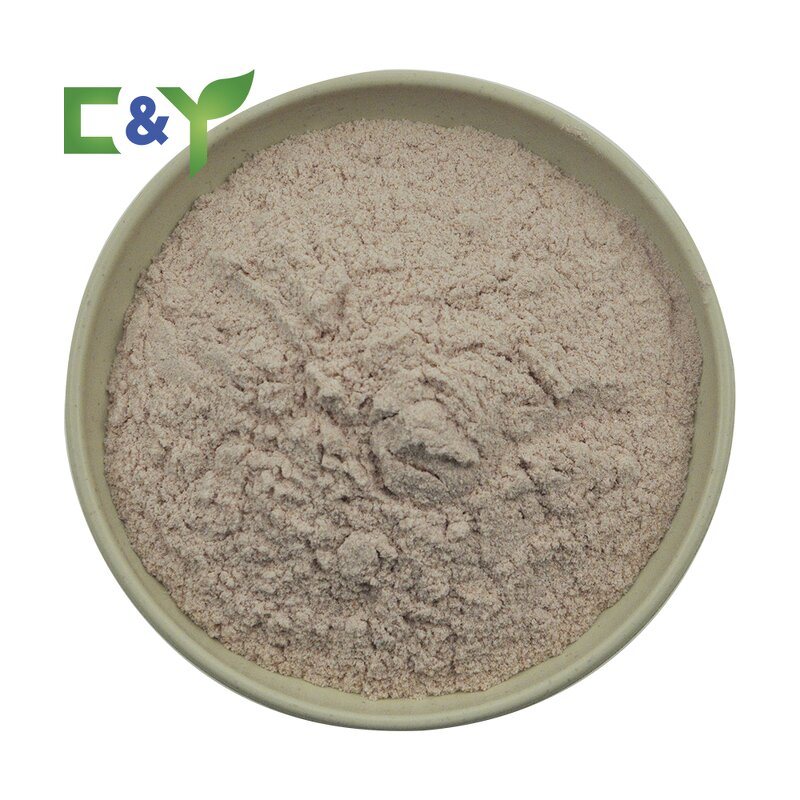 Cranberry Powder Manufacturer - Wholesale Cranberry Extract & Supplements