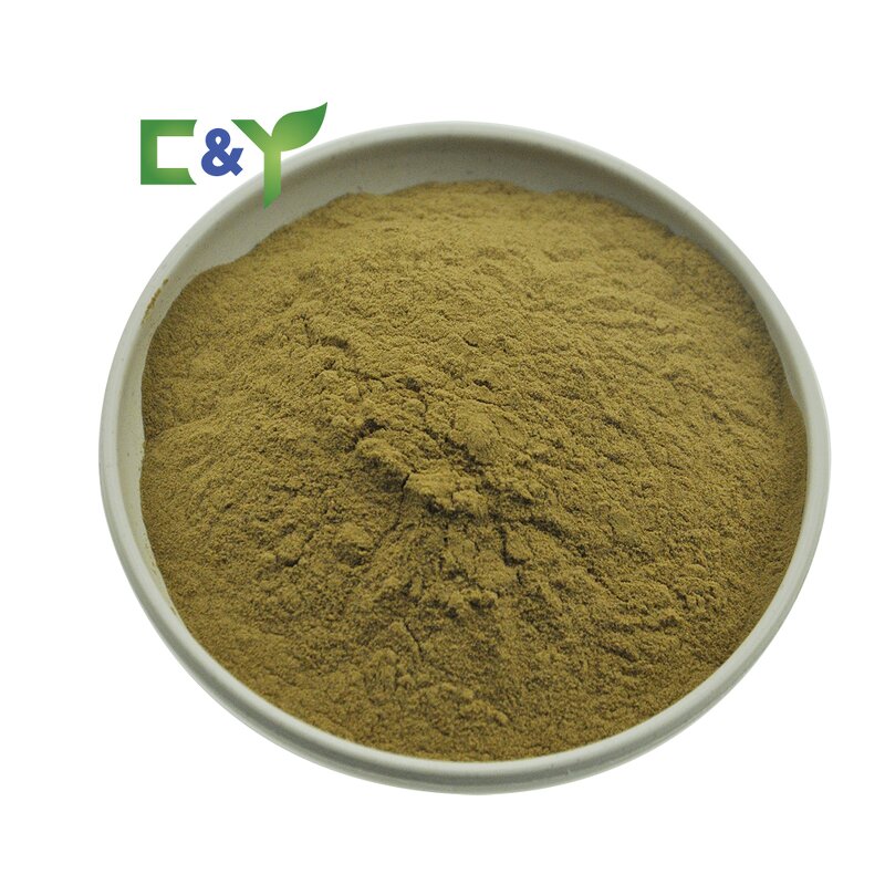 Ganoderma Lucidum Powder Manufacturer - Reishi Extract Powder