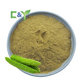 Bitter Gourd Extract Manufacturer - Bitter Gourd Powder & Capsule ISO Factory