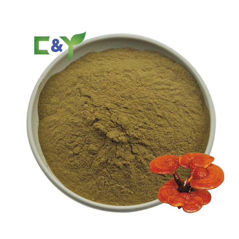 Ganoderma Lucidum Powder Manufacturer - Reishi Extract Powder