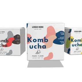 Kombucha Powder Manufacturer - Sugar Free Natural Flavor with Probiotics & Prebiotics