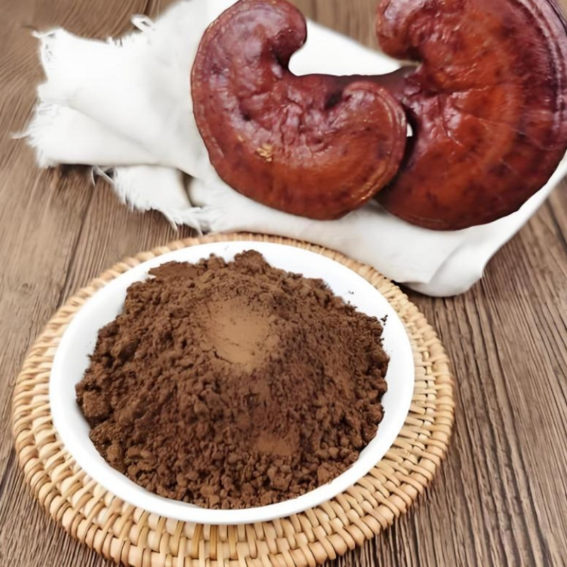 Ganoderma Lucidum Extract Powder Manufacturer - Enzyme Broken Wall 2g for Adult Immune Support