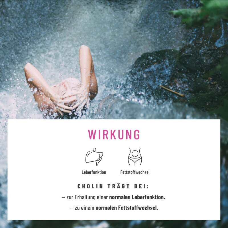 Milk Thistle Capsules Manufacturer - Organic Herbal Liver Detoxification & OEM