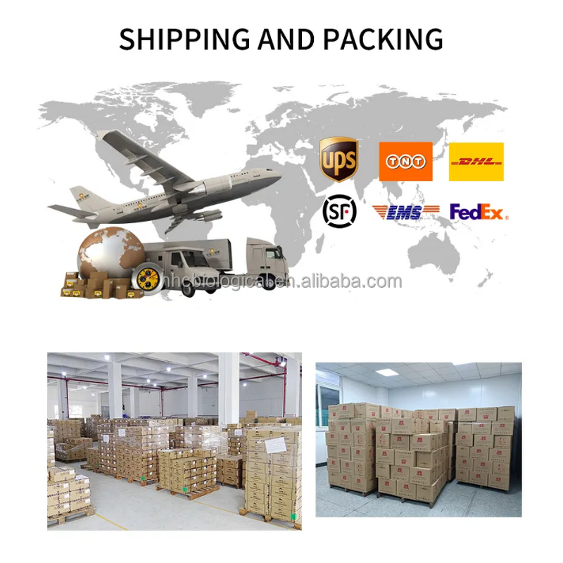 Multivitamins Supplement Manufacturer - with Zinc, Vitamin D & B12 for Men's Health