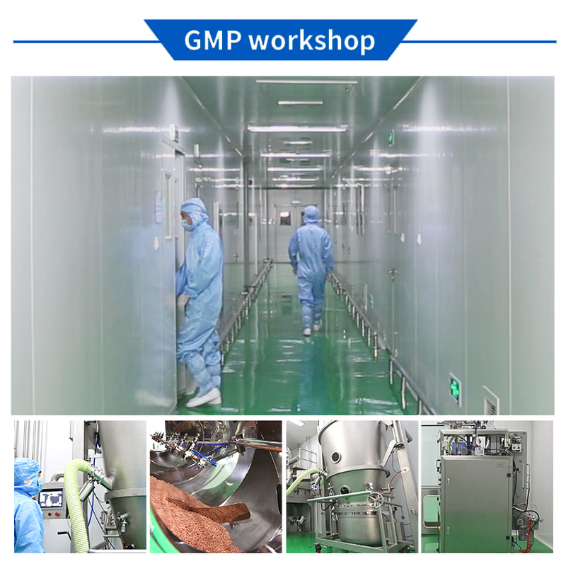 Korean Panax Ginseng Supplement Manufacturer - Max Strength Ginsenosides Vegan Capsules