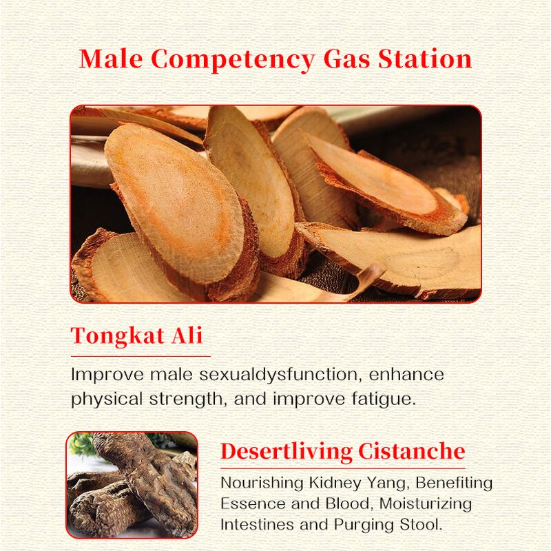 Tongkat Ali Extract Manufacturer - Libido Support & Energy Booster for Men