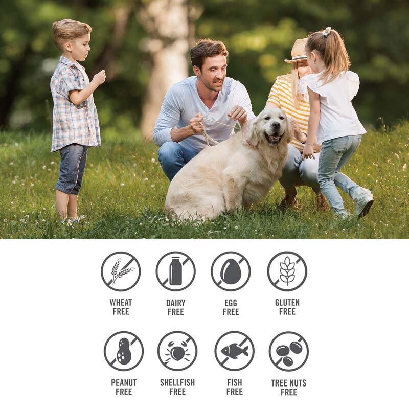 Vitamin D3 Gummies Manufacturer - Vegan Brain Focus Supplement & Private Label