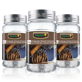 Cordyceps Sinensis Extract Capsules Manufacturer - Private Label Organic Herbal Supplements