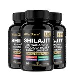 shilajit