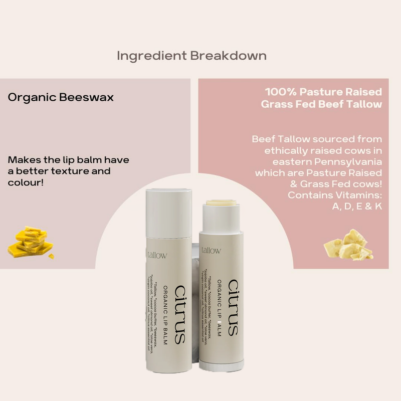 Beef Tallow Lip Balm Manufacturer - Private Label Vitamins A & E for Dry Lips