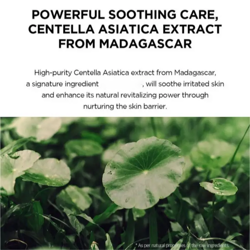 Centella Ampoule Serum Manufacturer - Private Label Calming & Firming CICA Kit