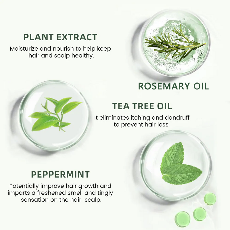 Tea Tree Oil Hair Care Set Manufacturer - Mint Rosemary Anti Shedding & Dandruff Relief