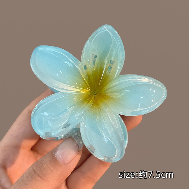 Flower Hair Clip Manufacturer - OEM Shark Clip Summer Hair Pin for Women