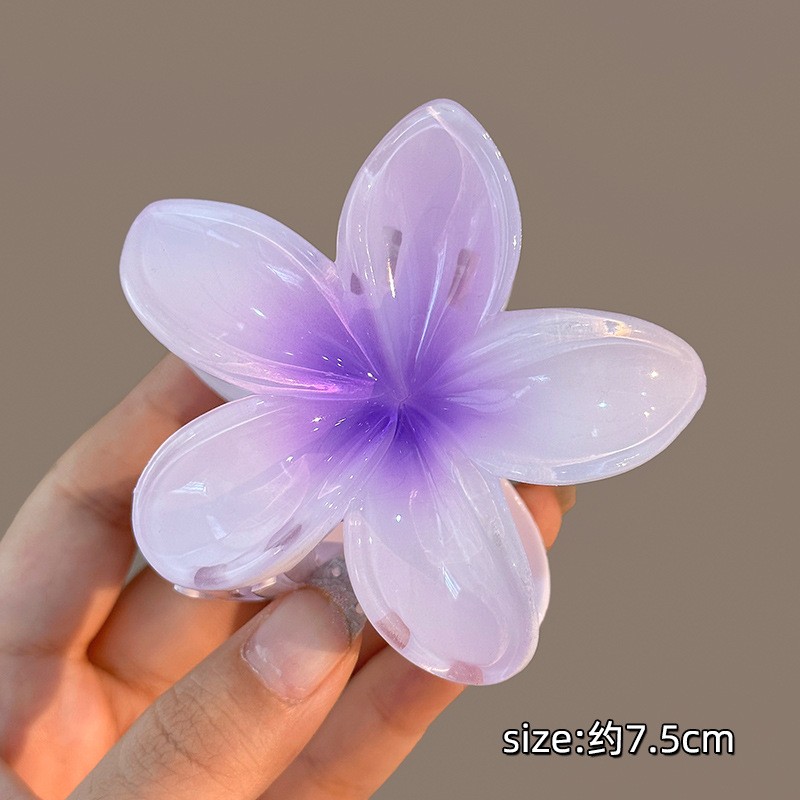 Flower Hair Clip Manufacturer - OEM Shark Clip Summer Hair Pin for Women