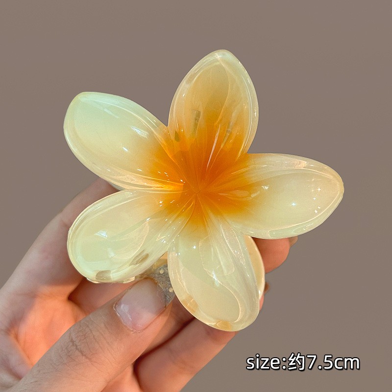 Flower Hair Clip Manufacturer - OEM Shark Clip Summer Hair Pin for Women