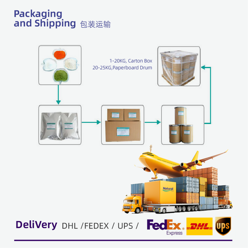 Reishi Mushroom Extract Powder Manufacturer - Chinese Ganoderma Supplier