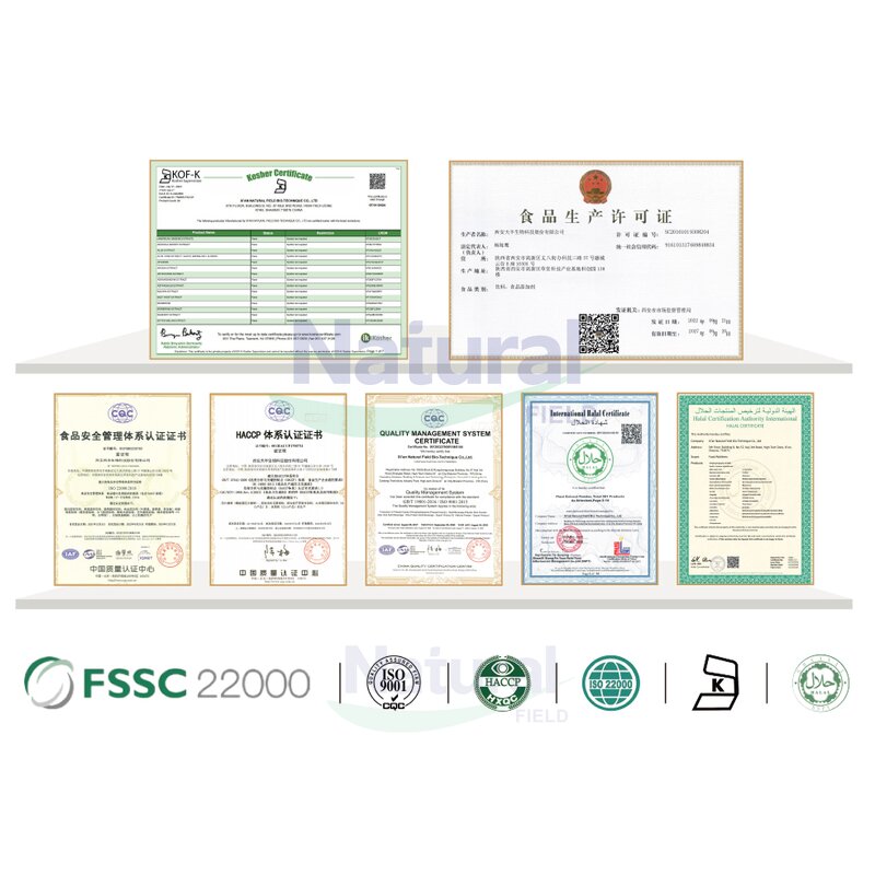 Ascorbic Acid Powder Manufacturer - Food Grade Vitamin C for Corporate Use