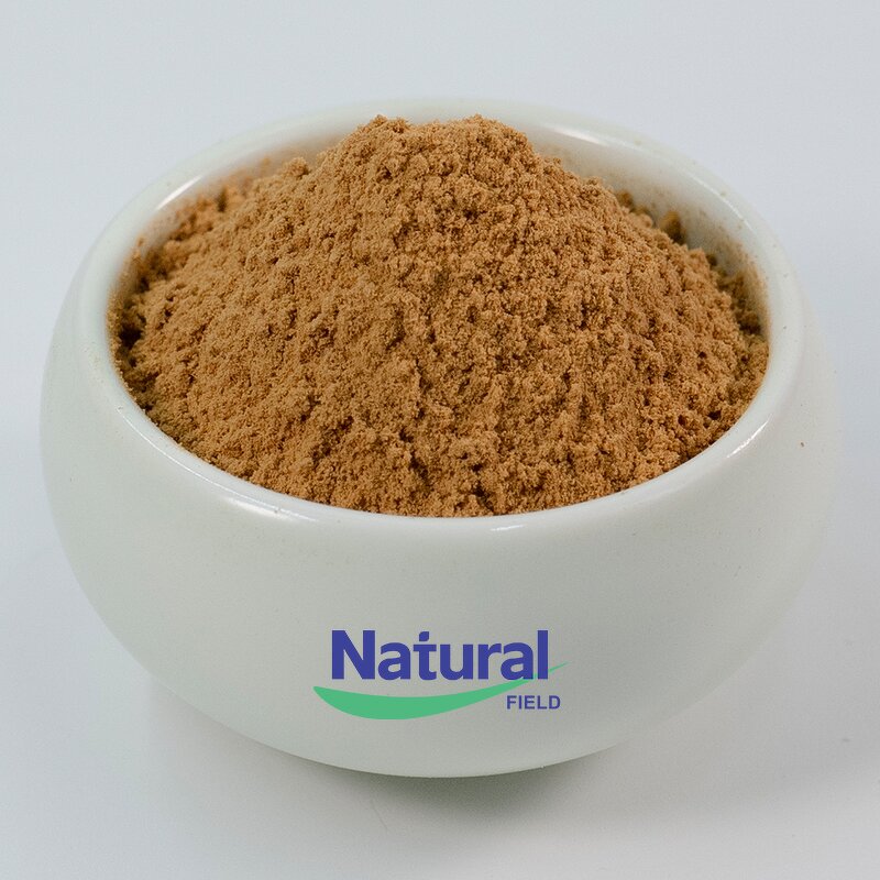 Reishi Mushroom Powder Manufacturer - Polysaccharides 40% & Ganoderma Lucidum Spore