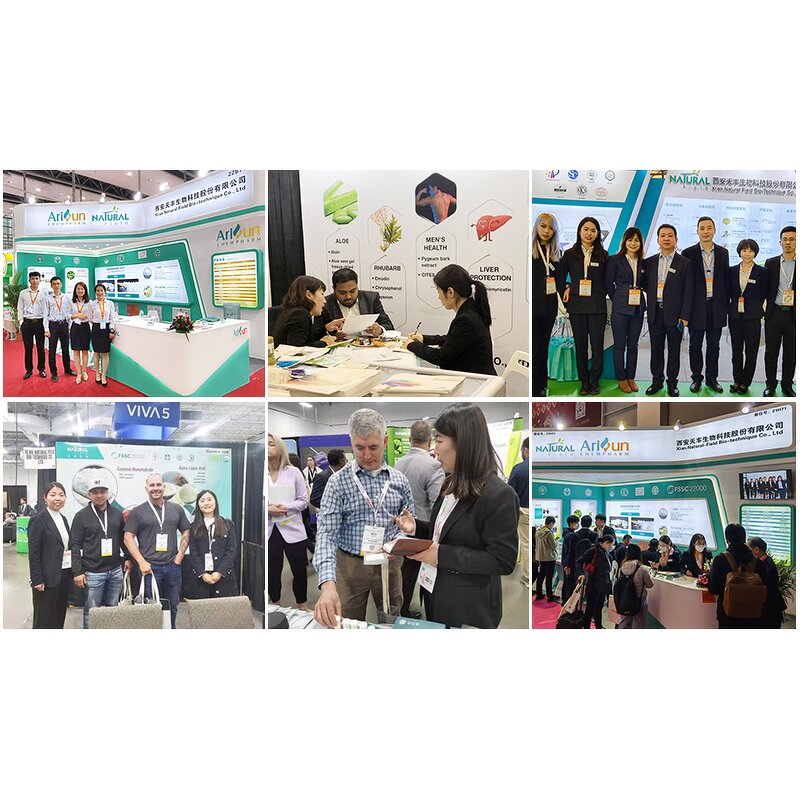 Kojic Acid Powder Manufacturer - 99% Cosmetic Grade Skin Whitening Pure Raw Material