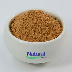 Agaricus Blazei Mushroom Extract Powder Manufacturer - 10%-50% Agaricus Blazei Murrill Extract