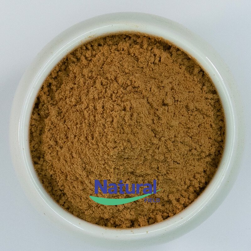 Milk Thistle Extract Powder Manufacturer - 80% Silymarin Marianum Extract