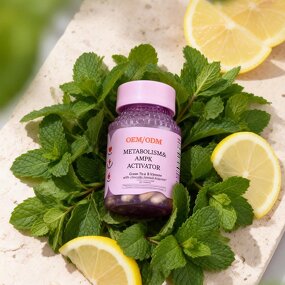 Green Tea Extract Capsules Manufacturer - Slimming Fat-Burning Energy Metabolism