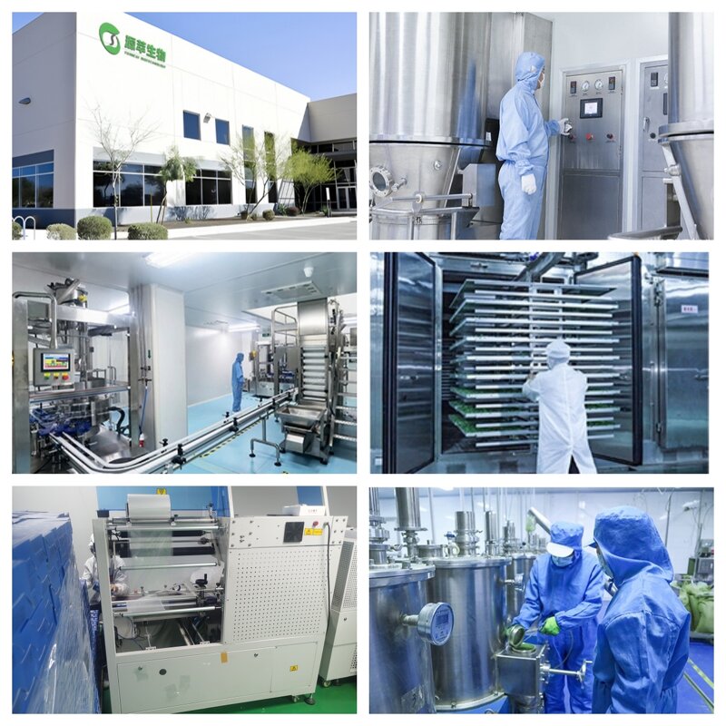 Oyster Powder Manufacturer - Freeze Dried Natural Source Rich Zinc for Smoothies Beverages