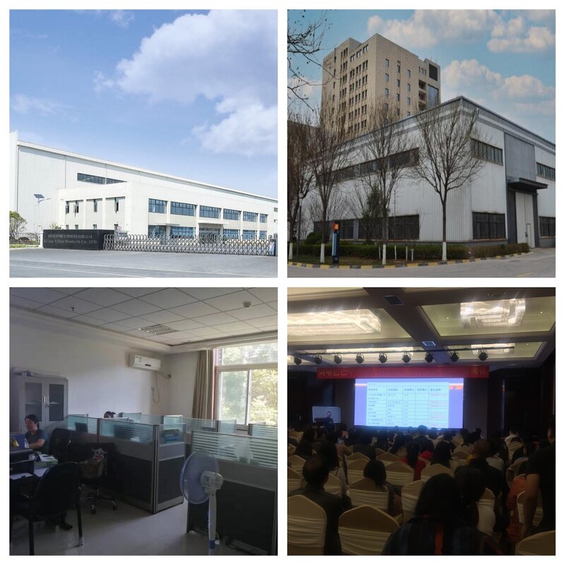 Tea Seed Powder Manufacturer - 98% Vitamin, Food Grade & Drum Packaging