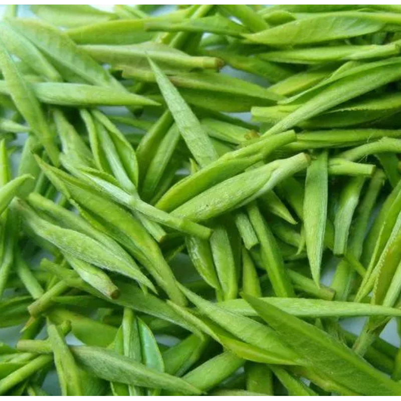 Green Tea Extract Powder Manufacturer - Food Grade Nano Powder for Beverages