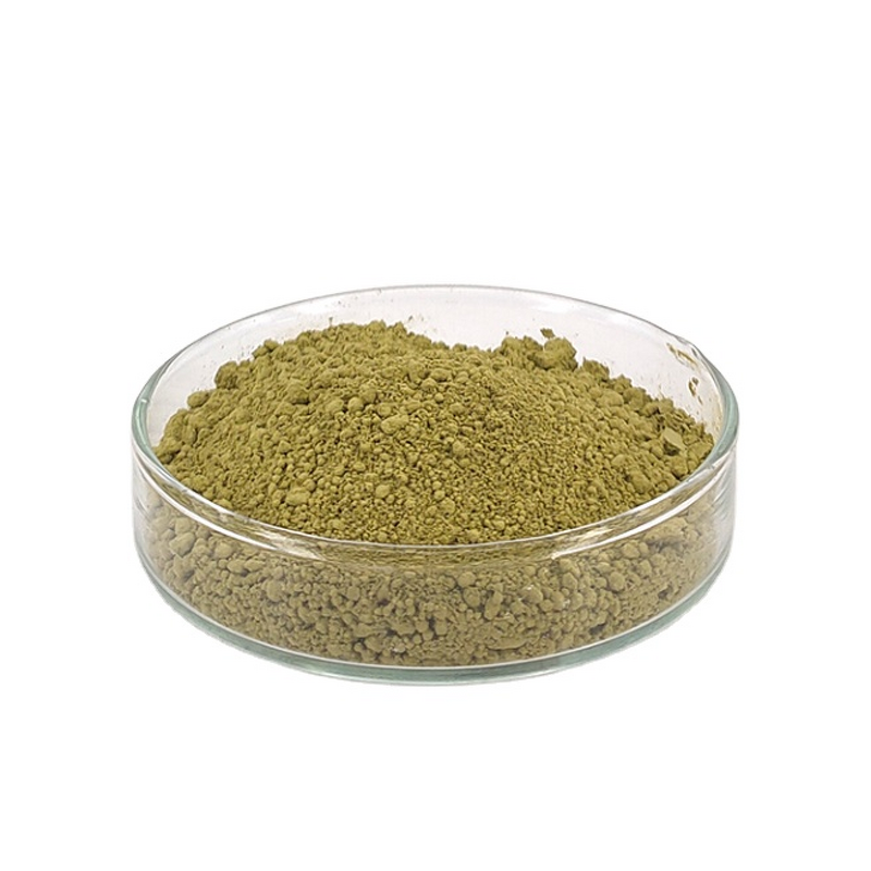 Rosemary Extract Manufacturer - 20%-95% Carnosic Acid Powder & Liquid, ISO HACCP